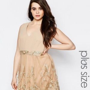 Lovedrobe Plus Skater Dress With Lace Border